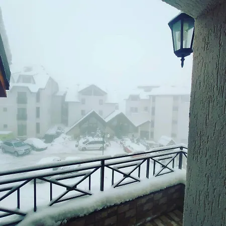 D16 Milmari Kopaonik