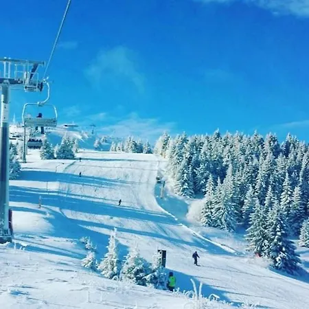 D16 Milmari * Kopaonik